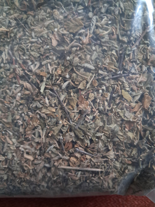 Lemon Balm